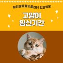 계절엔 동물의료센터 이미지