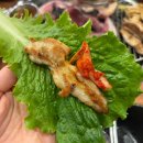 미가뒷고기 | [먹보일기] 동탄맛집 중 능동맛집 '영달이네뒷꼬기'