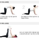 서울척탑병원 이미지