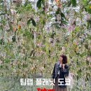 도쿄 여행 아이랑 가볼만한곳 팀랩 플래닛 미디어아트