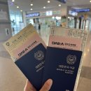 소로3-164 | [일본/여행] 2박 3일 대마도 자유여행