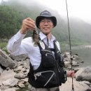 유꺽지 세계일보