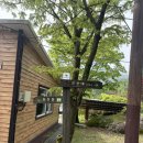 보은삼거리 | [충북/보은] 속리산 문장대 최단코스· 주차· 소요시간 총정리｜5월 등산 어디갈지 고민이라면?