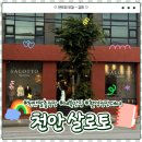 충남예복 | 천안 살로토:) 맞춤 정장 맛집ఇ 정장 대여 종류 & 예복 후기