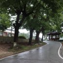 강당말강당 이미지