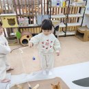 쿤이네집 | 안산 고양이카페 쿤이네집 아이랑 실내 체험 후기