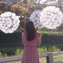 민들레플라워 이미지