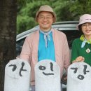 가인강산 이미지