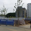 터파기 공사 - 1554 | 터파기 공사