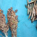 그로아펜션 이미지