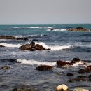 읍천1리 이미지