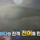 6시내고향 장흥 전어 파는 곳 식당 촬영지 장소 어디? 9월 28일 수요일엔 수산물 기성앤더슨
