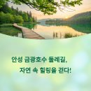 문학둘레길 | 안성 금광호수 둘레길 완벽 정복: 박두진문학길부터 하늘 전망대까지!(혜산정,청록뜰,강건너빠리)