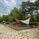 시민의숲산책로1-1 이미지