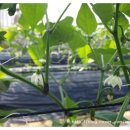 꿈쟁이하우스 이미지