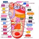발마사지 Daum카페