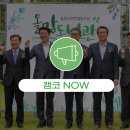 올맘도서관 네이버블로그