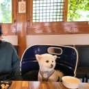 더 담다(The 담다) 이미지