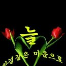 늘;한결같은