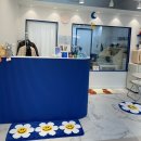 개설렘 | 청라 애견목욕 잘하는곳 🫧 개설렘 애견스파 솔직후기