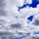 사리식당 이미지