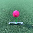 라라골프랜드 | 에이밍골프티 티꽂이 선물 라라랜드 화살방향티