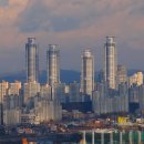 메타폴리스 이미지