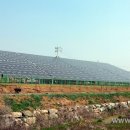 상황1호기 태양광발전소 이미지
