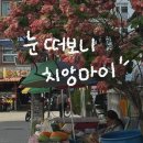 태국 스크럽 추천 / 치앙마이대학교 블루커피 / 콩콩 시장 / 님만 6 야시장 / areemitr coffee / 카페...