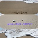 부산 해운대의 겨울바다 이미지