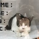 바라봄동물병원 이미지