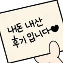 비타민샤브칼국수
