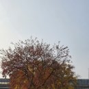 만의골로 이미지