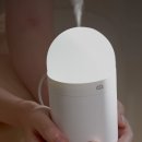 H0243 이미지