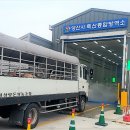 양산한우농장 이미지