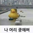 러버릴리 이미지
