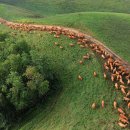 만길목장 이미지