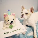 댕과댕빵 | 댕과댕빵 반려견 케이크 맞춤 후기🍰