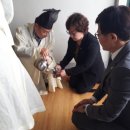 괴정1동-7 이미지