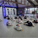 한국체대 영우태권도 이미지