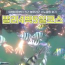 발리 4박 5일 코스 총정리! 여행 비용부터 적기, 스노클링 후기까지