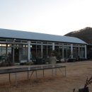 남쪽나라민박 이미지