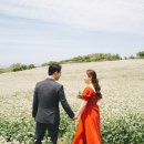 폴리크롬스튜디오