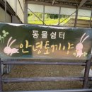 대순이네 이미지