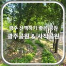 사직중앙로 이미지