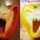 찾음 이미지