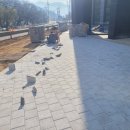 주식회사 세성 이미지