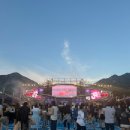 2026 월디페 후기｜20주년 월드 디제이 페스티벌, 제드(Zedd) 공연 관람 후기 및 입장 꿀팁