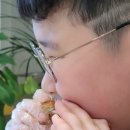 통큐치킨 이미지