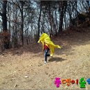 시원한 바람